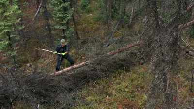 I gotta get this
thing chopped up, - Life Below Zero: Next Generation