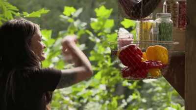   I grabbed cherries
  and apricots, - Moonshiners: Master Distiller