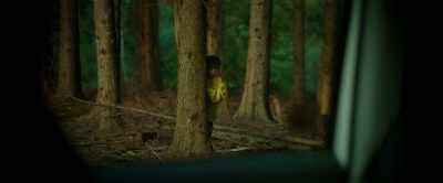 I grabbed some,
dropped them off at Gallup, - Winnie-the-Pooh: Blood and Honey 2