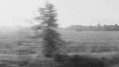  I had great expectations,
you know. - A Choice of Weapons: Inspired by Gordon Parks