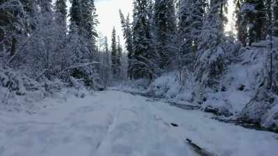 I grew up just
like most people, - Life Below Zero: Next Generation
