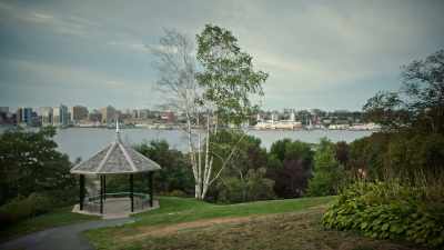I grew up on Dhalia, - Diggstown