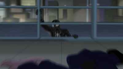 Guess Cat was right. - The Spectacular Spider-Man