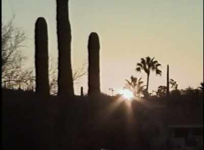 I guess he was climbing over,
like, a ridge - Phoenix Forgotten