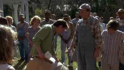 I guess I'll watch
after your pig. - Doc Hollywood