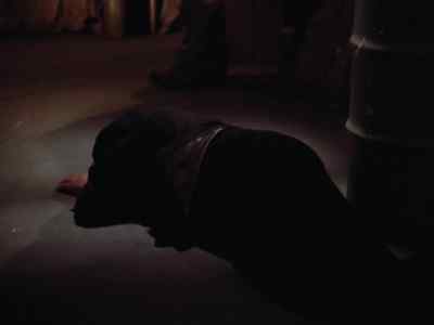 I guess it's true what they say: - Lois & Clark: The New Adventures of Superman