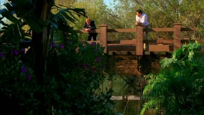 I guess the water's never
deep enough, is it, Judge? - CSI: Miami