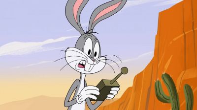 I guess they
weren't glued down. - New Looney Tunes