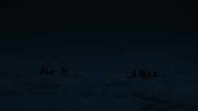 I hailed Wilde, ordering him 
to launch the Stancombe wills.  - Shackleton: The Greatest Story of Survival