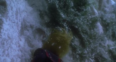 I hate Christmas! I hate it! - How the Grinch Stole Christmas