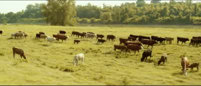 I hate cows worse than coppersGroansOh George Not the livestock - O Brother, Where Art Thou?