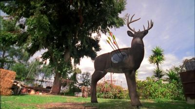 I hate fake deer too - Veronica Mars