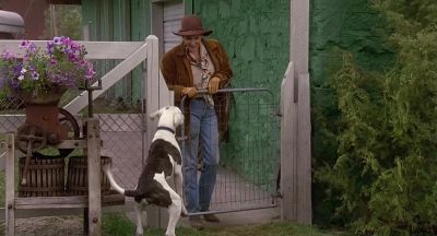 I hate fast food - Homeward Bound: The Incredible Journey