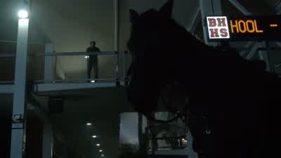 I hate horses. - Teen Wolf