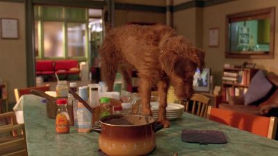 I hate it when he says meat stew like that - Firehouse Dog