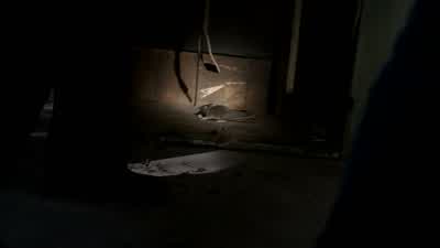 I hate rats. - Supernatural