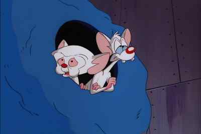 I HAVE A BULLETIN
FROM THE FUTURE, PINKY. - Pinky and the Brain