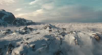I have a report. - Mufasa: The Lion King