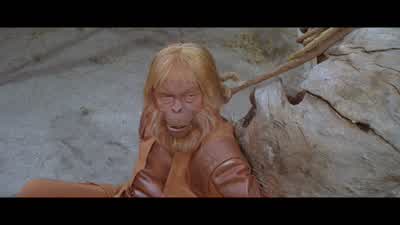 And you're rightI have always known about manFrom the evidence I believe his wisdom must walk hand in hand with his idiocyHis emotions must rule his brainHe must be a warlike creature who gives battleto everything around him even himself - Planet of the Apes