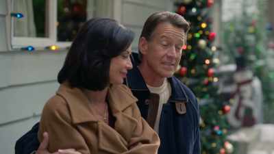 I have to ask.
Are you sure about all this? - Christmas on Cherry Lane