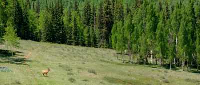 I have been to many places and seen many things, - Is Genesis History?