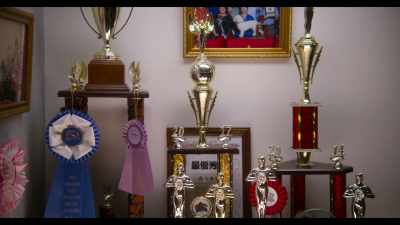 I have competed
in many American grooming contests. - Dogs