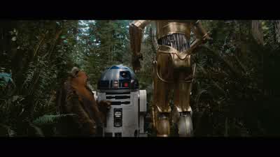 I have decided that we shall stay here - Star Wars: Episode VI   Return of the Jedi