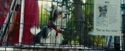 I have to find out.
[yapping] - A Dog's Journey