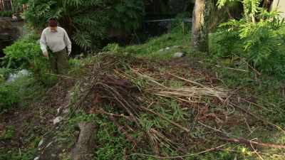 I have to go in and fix it, so...
(CHUCKLES) - Magic of Disney's Animal Kingdom