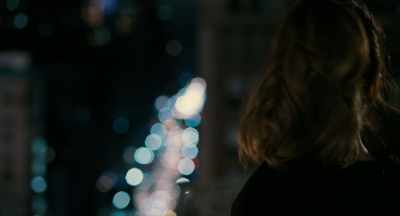 "I have looked down upon
the city from high windows. - The Only Living Boy in New York