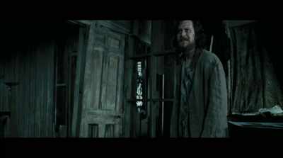 - I have never done a scene - Harry Potter 20th Anniversary: Return to Hogwarts