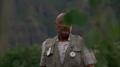 I have never felt so alive. - Lost