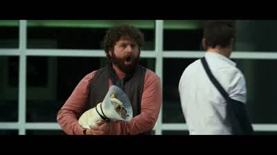 - I have never... - Due Date