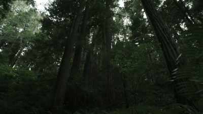 I have no doubt in my mind
that this new target zone - Expedition Bigfoot