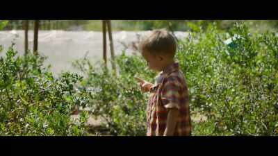 I have... one. - The Biggest Little Farm: The Return