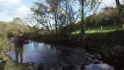 I have seen a massive
decrease in salmon numbers. - Chronicles of the Glens