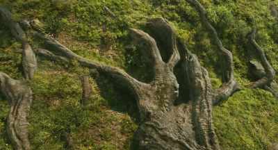 I have seen this tree
many times, - Mufasa: The Lion King