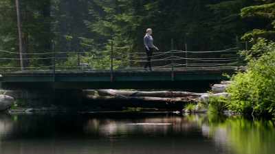 i-have-tell-you-they-very-nice - The Crossing