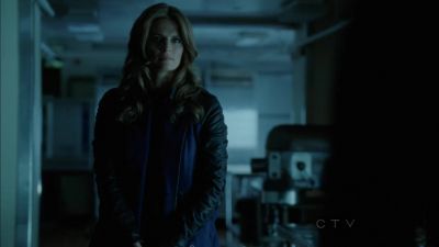 I have the file. - Castle