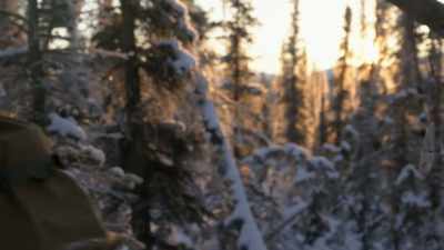 I have to think
like the animal - Life Below Zero: Next Generation