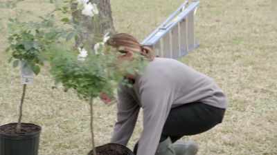 I have three
of each color, - Fixer Upper: Behind the Design