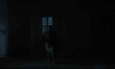 I have use in him. - Nosferatu