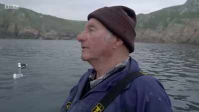 I haven't been on holiday... - Cornwall: This Fishing Life