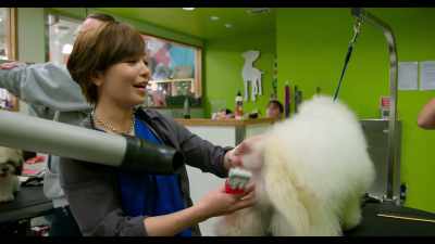 I haven't decided
how I'm going to groom her. - Dogs