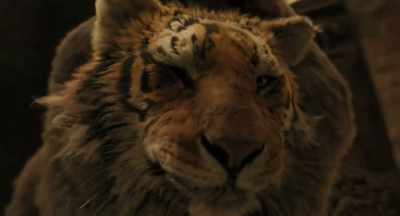 I haven't finished
my treatment. - Dolittle