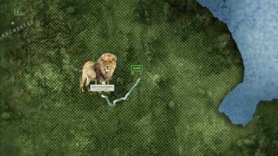 'I was heading to Lincolnshire, - Britain's Tiger Kings - On the Trail with Ross Kemp