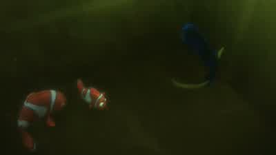 I hear footsteps. - Finding Dory