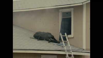 - I hear gunfire.
- Oh shit. - Waco: American Apocalypse