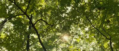 APRIL I hear you're a mathematicianJOHN You hear wrong It's all gone nowAll goneYou know what electrical shock treatments areYes Yes I doI've had 37Supposed to jolt out the emotional problemsJust jolted out the mathematics - Revolutionary Road