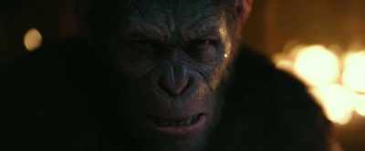 I heard him talking! Colonel is here! - War for the Planet of the Apes
